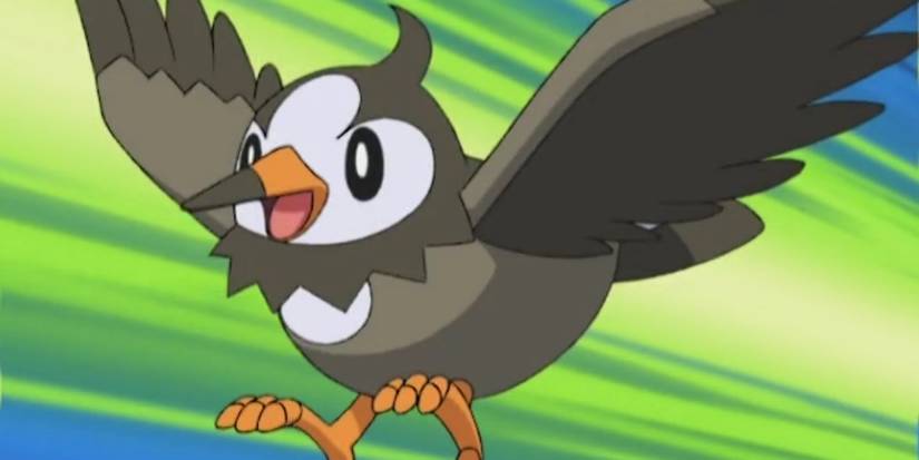 Starly, the regional bird of the Sinnoh region