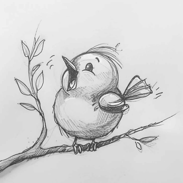 A collection of cute drawing ideas and templates for free draw practice