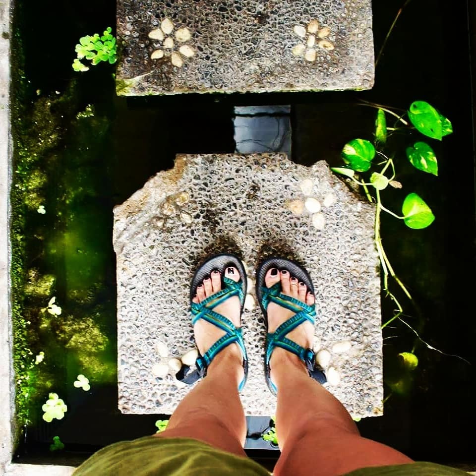 Aria Wallace wearing stylish footwear during a professional appearance