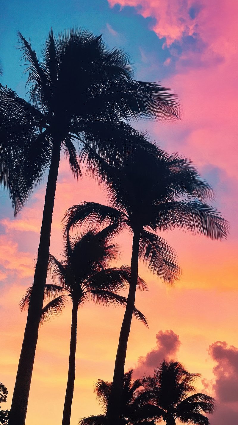 Aesthetic sunset wallpaper with palm tree silhouettes and colorful sky