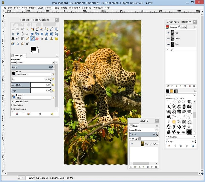 Screenshot of a third-party photo editor interface on Windows 10 showing filter options