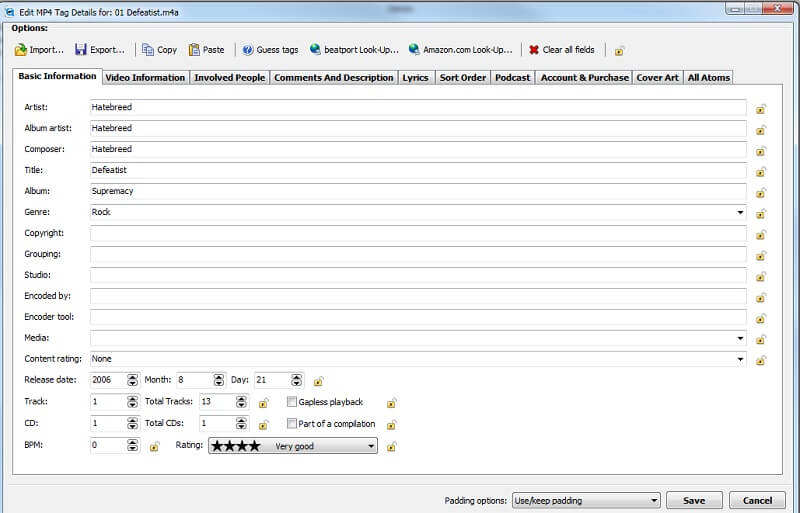 Interface of a modern MP4 metadata editor showing tag fields