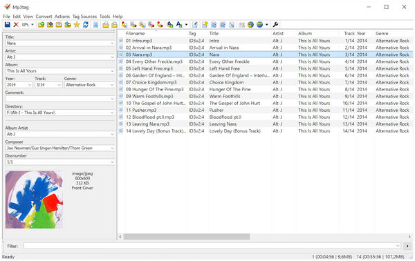 MP3Tag interface showing video file metadata columns