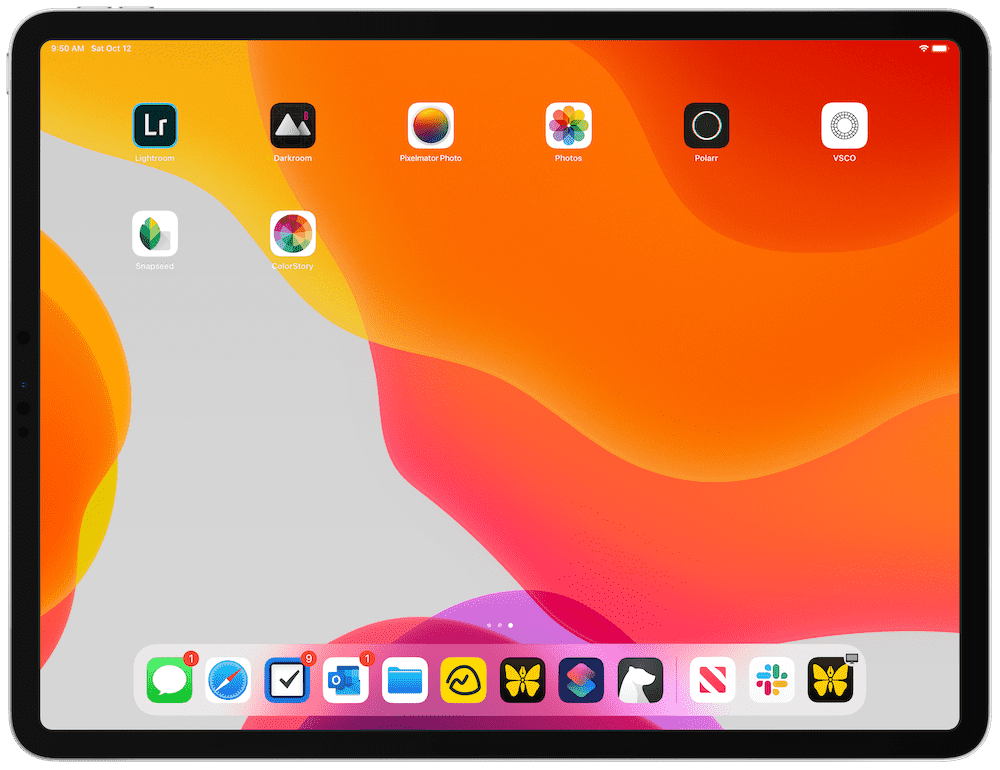 Snapseed interface on iPad showing professional editing tools