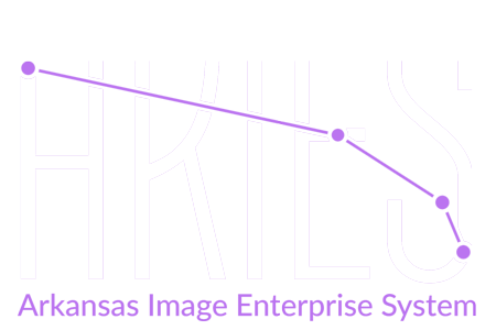 Arkansas Image Enterprise System ARIES logo