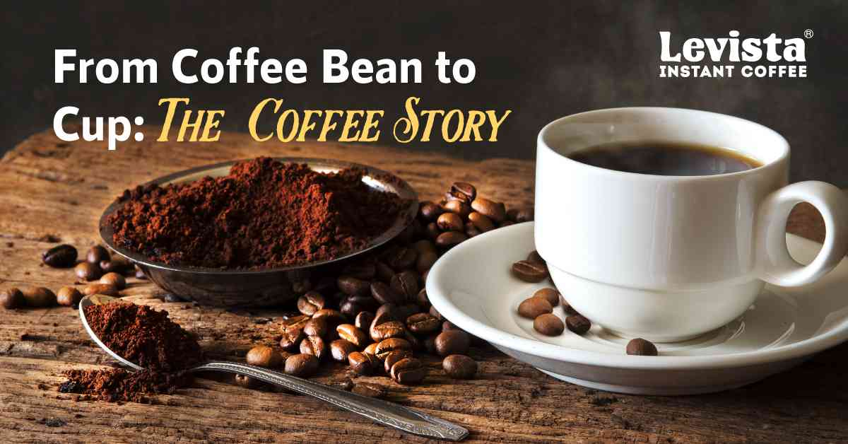 Coffee beans in various stages from green to roasted representing the history of coffee