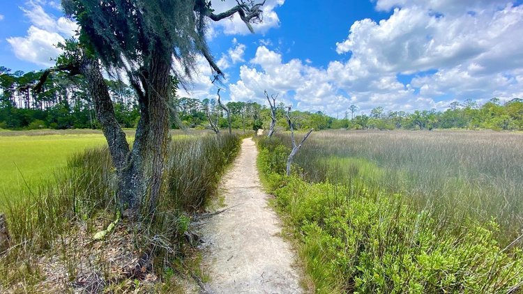 Boardwalk trail over the salt marsh at Skidaway Island