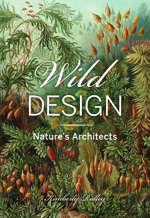 Functional nature designs in landscape architecture
