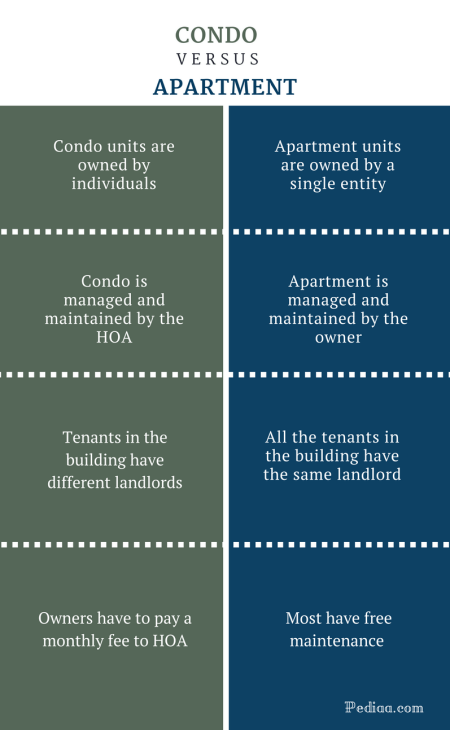 Infographic showing differences between condo and apartment ownership and features