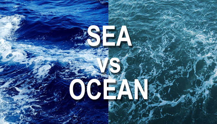 Infographic showing the geographic differences between a sea and an ocean