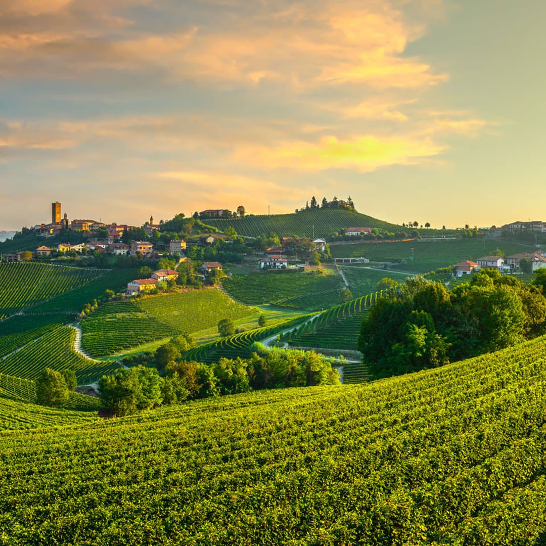 A glass of Barolo wine showing its characteristic pale garnet color and transparency